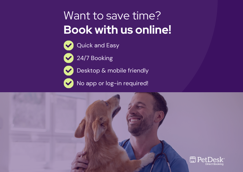 Carousel Slide 1: Online Booking Dog
